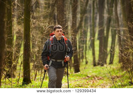 Active healthy man with red backpack hiking in beautiful forest.