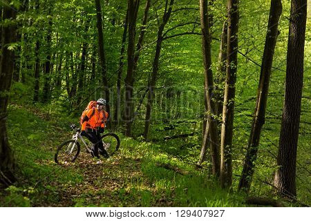 Cyclist in orange jersey Riding the Bike on the Trail in the Beautiful Summer Forest