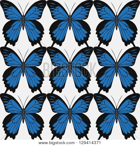 Big realistic collection of colorful butterflies.  Papilionidae ulysses, summer flying insects set for greeting cards and  scrapbook
