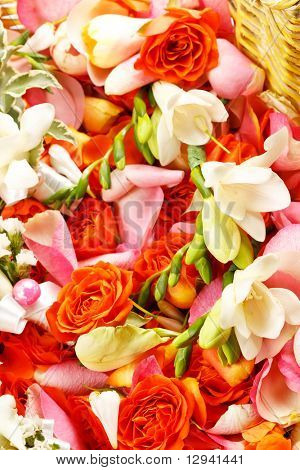 ดอกไม้สวยงาม