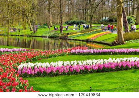Lisse, Netherlands - April 4, 2016: People walking and making photos in dutch spring garden Keukenhof, Lisse, Netherlands