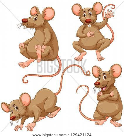 Four brown mouse on white background illustration