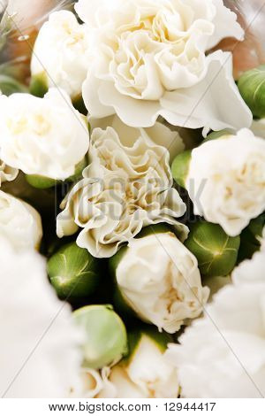 ดอกไม้สวยงาม