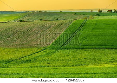 Beautiful Green Sping Rural Landscape