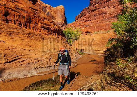 Hike in Coyote gulch, Grand Staircase-Escalante National Monument, Utah, United States