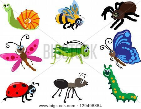 Detailed illustration insect isolated in flat style on white background. Collections of insects: butterfly, dragonfly, snail, spider, ladybug, ant, caterpillar, grasshopper, bee.