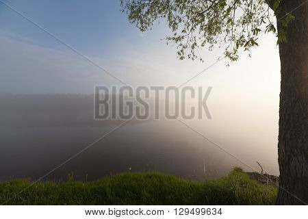 The Springtime Shoreline of a Foggy Mountain Lake at Sunrise.