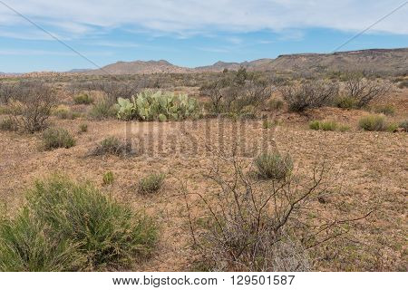 Barren arid desert landscape near Bagdad Arizona
