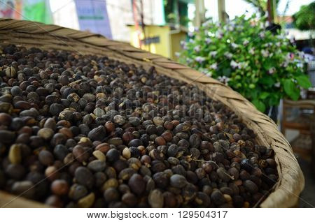 Granos de café seco, grano oro en pueblo productor