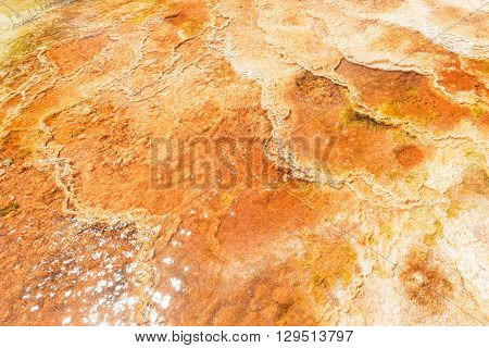 Yellowstone National Park - Microbial mat pools close up
