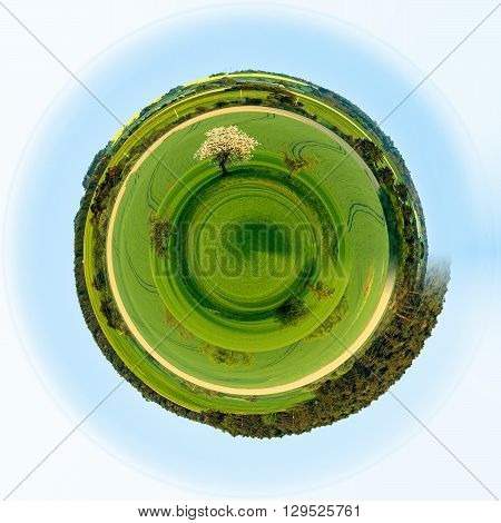 Beautiful Green Sping Rural Landscape