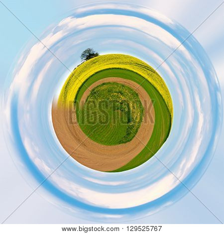 Beautiful Summer Rural Landscape