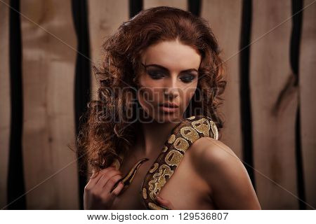 Sexy Brunette Girl With Orange Python Around Her Neck