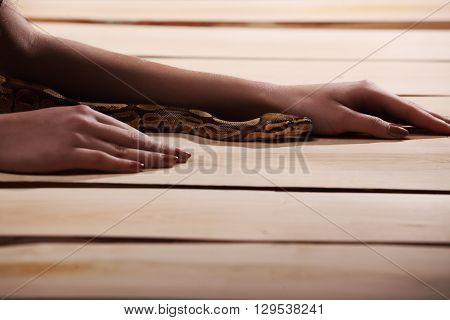 Sexy Brunette Girl With Orange Python Around Her Neck