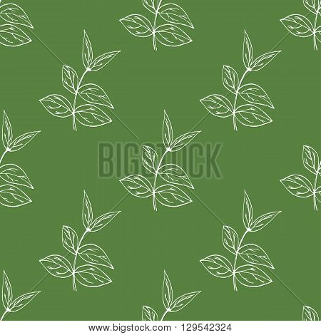 Vector seamless pattern with hand drawn herbal elements in green colours.