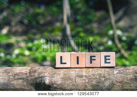Nature Lige Sign In A Forest