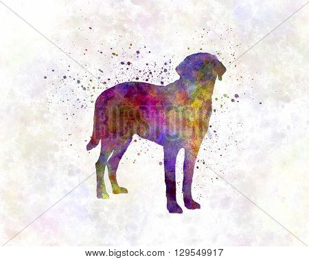 Broholmer dog in artistic abstract watercolor background