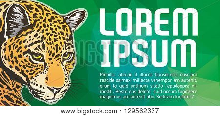 colored jaguar head on green geometrical backround with placeholder text vector illustration