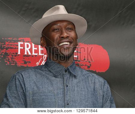 LOS ANGELES - MAY 11:  Mahershala Ali at the Free State Of Jones Photocall at the Four Seasons Hotel Los Angeles at Beverly Hills on May 11, 2016 in Los Angeles, CA