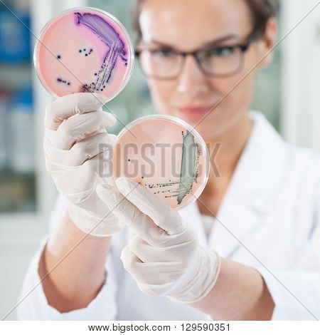 Vertical view of woman working with microbacteria