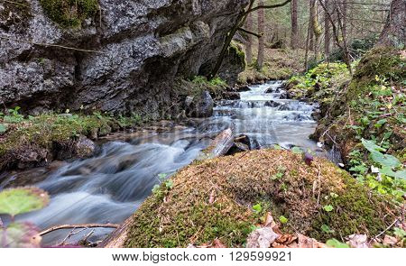 Stream in Blatnicka valley in forest - Slovakia