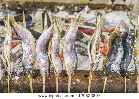 Fish with salt being grilled outdoors in Japan
