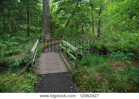 Garden Bridge