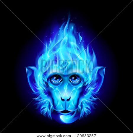 Monkey head in blue fire isolated on black