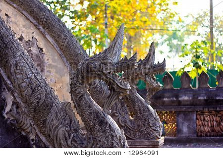 Naga scale
