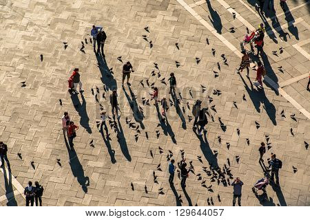 VENICE, ITALY - APR 19, 2016: people are walking around the Markus Place, the central place in Venice. Italy. People feeding the pigeons.
