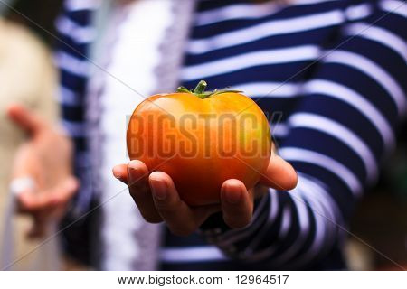 Pomodori sulla mano