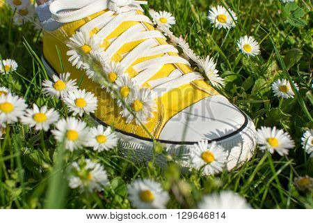 Yellow Sneakers Decorated With Daisies