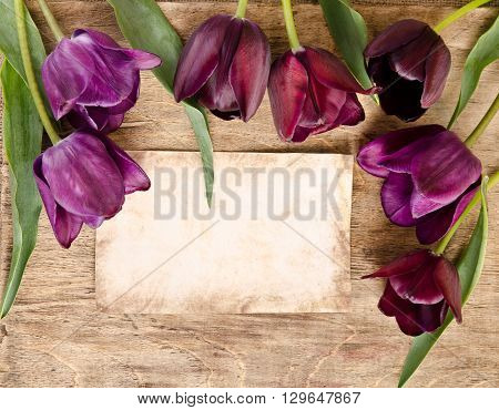 frame for pfoto or message from fresh tulips .top view on wooden table with composition
