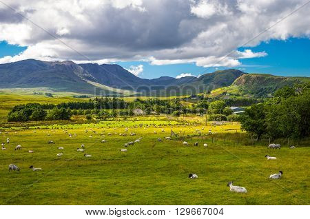 Ireland Calway county landscape of the Connemara area