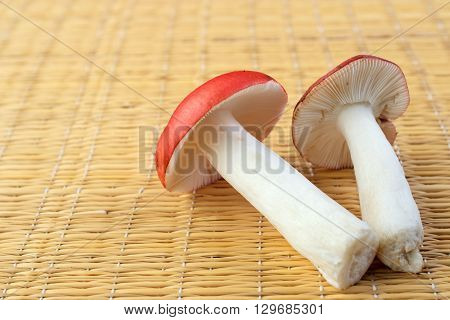 Edible red russula mushrooms on table mat with copyspace