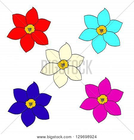 Flowers of different colors set of vector illustrations. Drawing flowers (daisies) on a white background. Colorful image