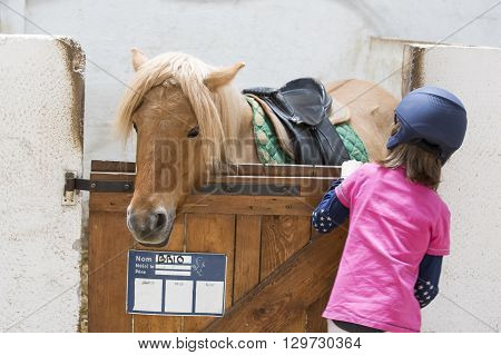 pretty young teenage girl preparing taking care horse poney