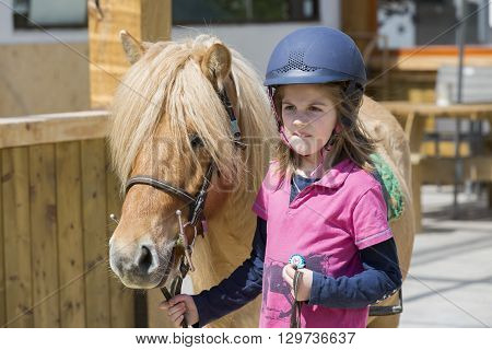 pretty young teenage girl preparing taking care horse poney