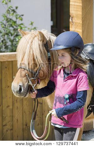 pretty young teenage girl preparing taking care horse poney