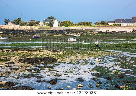 Barfleur France - May 21 2012: Normandy view of the harbor and boats at low tide near the village.
