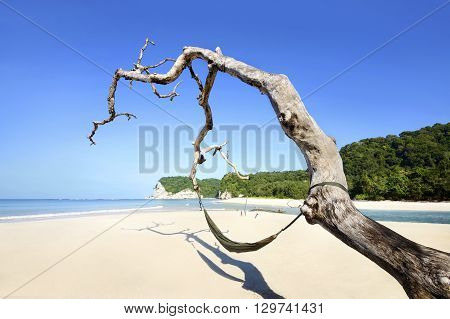 Image of tarimbang beach east sumba indonesia