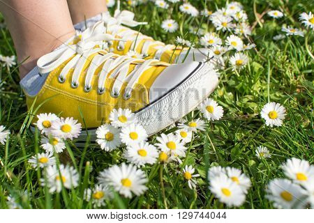 Yellow Sneakers Decorated With Daisies