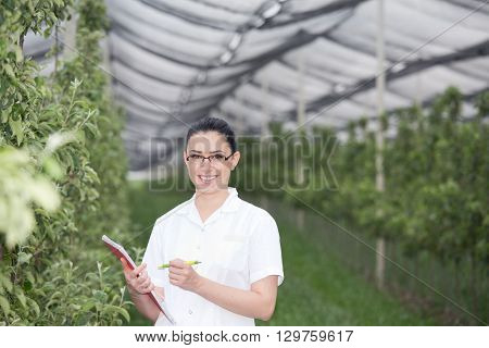 Woman In Apple Orchard