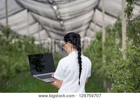 Woman With Laptop In Apple Orchard
