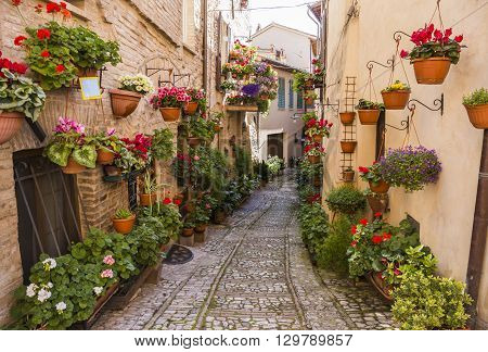 Spello. Medieval town in central Italy in Umbria