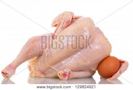 Fresh, raw chicken and egg isolated on white background.