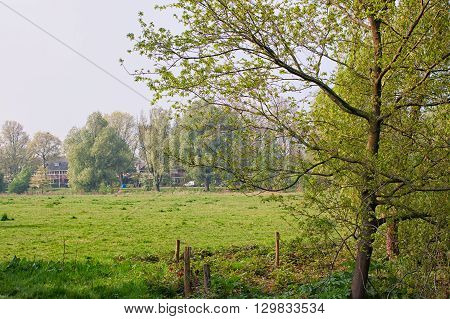 A meadow right in the middle of the little town of Bussum in The Netherlands. There was quite a lot of haze in the morning.