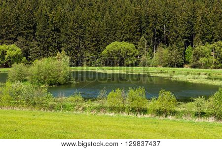 Beautiful Summer Rural Landscape