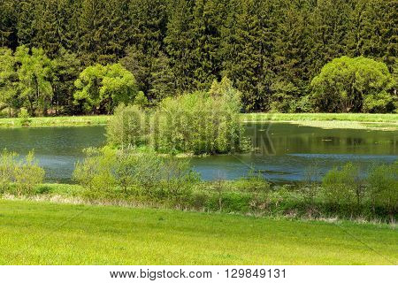 Beautiful Summer Rural Landscape