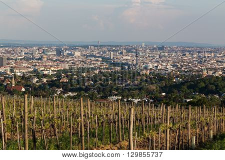 VIENNA AUSTRIA - 7TH MAY 2016: Part of Kahlenberg and wineries on the outskirts of Vienna during the spring. Wine plantations can be seen starting to blossom